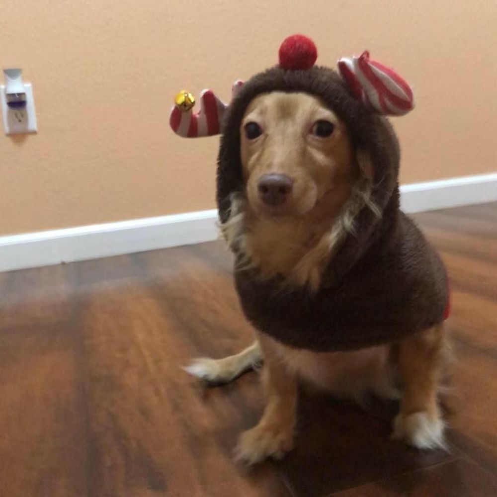 Meet your Posher, Mikaela